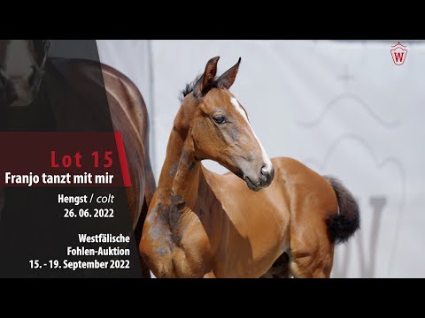 Online-Auktion Lot 15 Franjo tanzt mit mir Hengst v. Franz Joseph Junior - Sir Donnerhall I