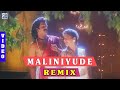 Maliniyude Theerangal Remix DJ Video Dance Mix Gandharvam