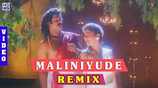 Maliniyude Theerangal - Remix - (DJ-Video) (Dance Mix) Gandharvam