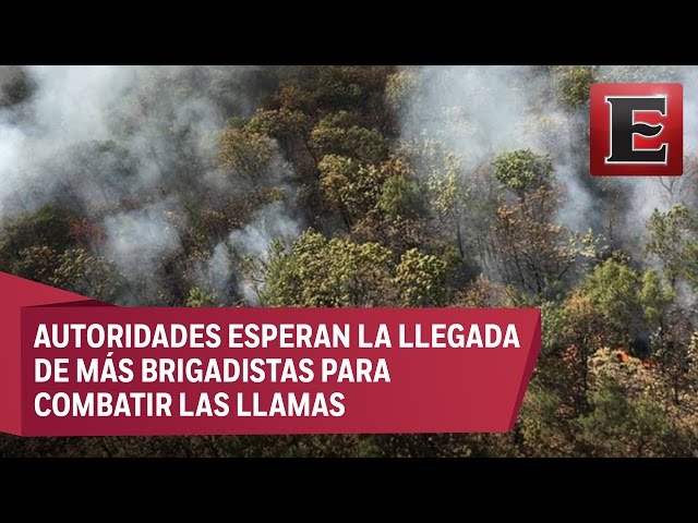 Mantienen 11 municipios en Jalisco emergencia atmosférica por incendios ...