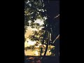 Kaathuvaakula Rendu Kaadhal Tamil Movie Song Rendu Kaadhal Full Screen HD Whatsapp Status