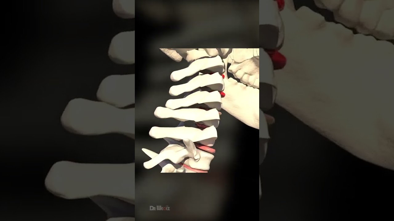 Marcos Michell Garcia Herrera-10