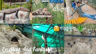 🌊58gate#Gorchumuk#travel#uluberia #birds#snakes#Fishingcat#ganga #damodor#vlog#zoo#subscribe