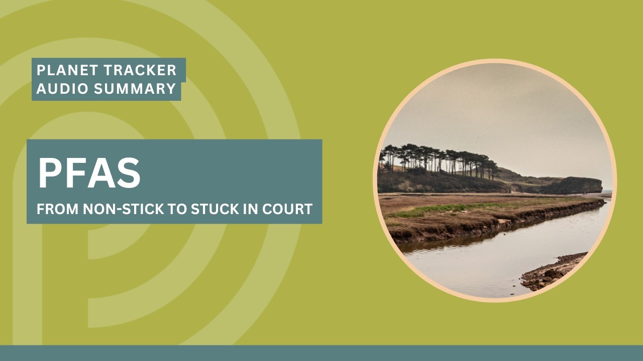 PFAS: From non-stick to stuck in court