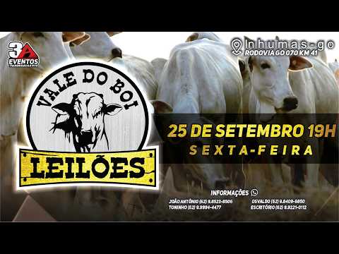 VALE DO BOI LEILOES - INHUMAS GO  - LEILAO VIRTUAL E PRESENCIAL -  25 DE SETEMBRO 2026