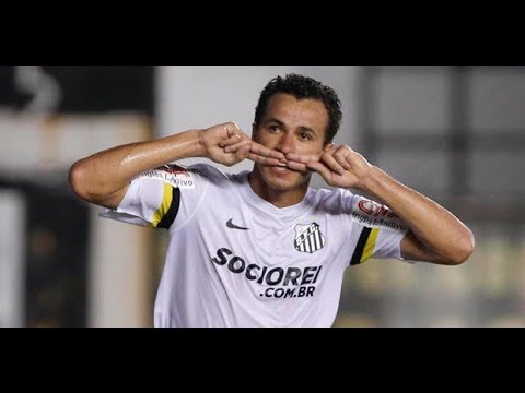 TODOS OS 11 GOLS DE LEANDRO DAMIÃO PELO SANTOS (COM NARRAÇÃO)