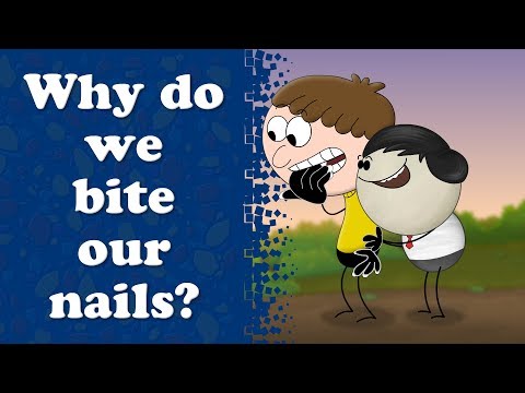 爪を噛むのはなぜ？| 爪を噛むのはなぜ？ (Why do we bite our nails? | #aumsum)