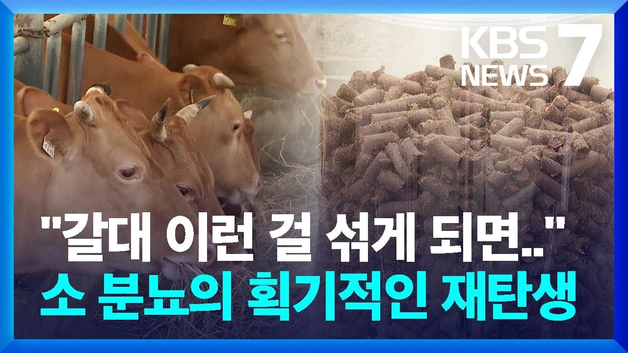 하천 오염 ‘소 분뇨’…탄소 저감 연료로 재탄생