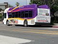Glendale Beeline Gillig BRT B98 On Line 5