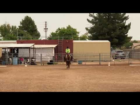 Cowboy Dressage freestyle September 2020 show