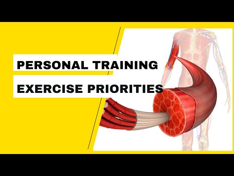 Intermuscular Coordination