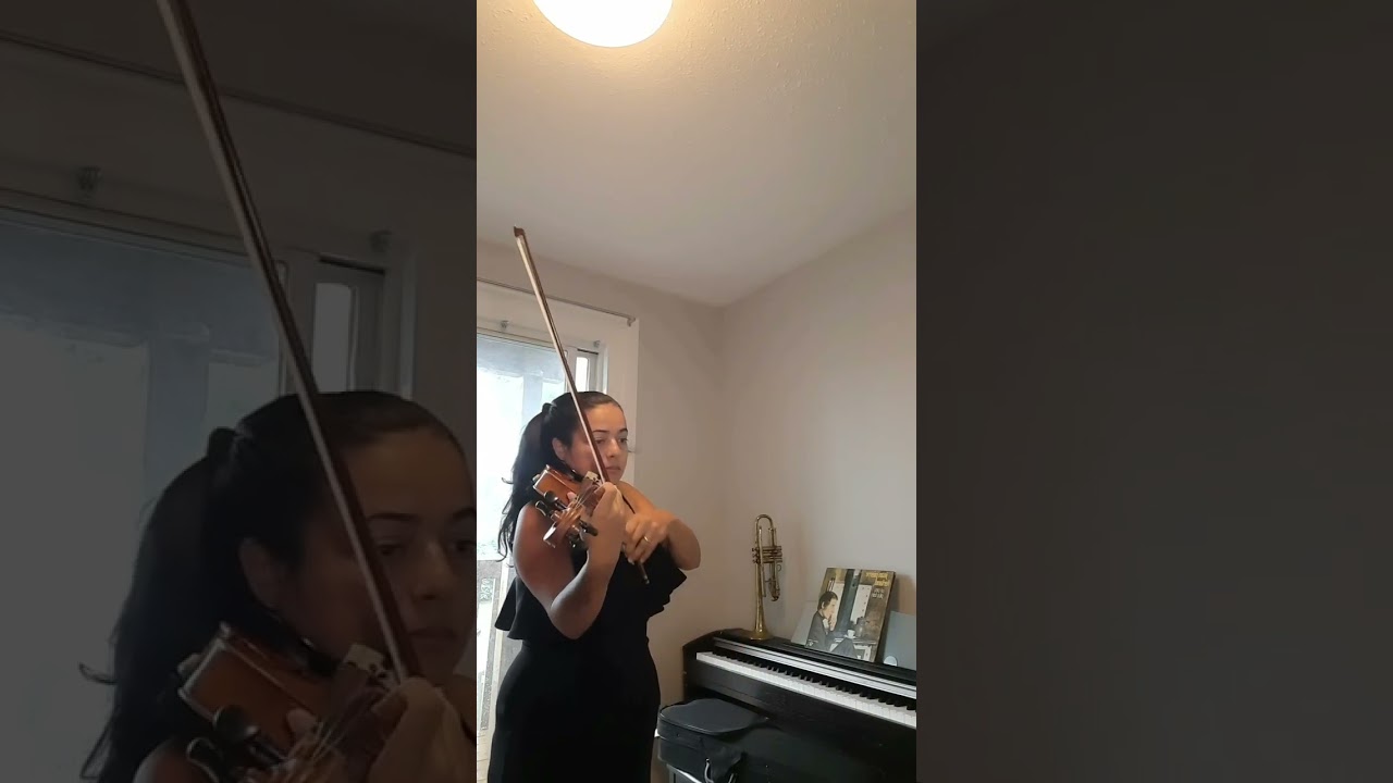 Promotional video thumbnail 4 for Solo Violinist