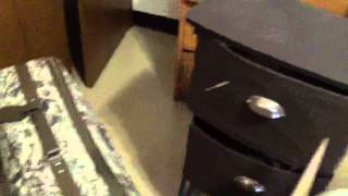 Ann moves to the Shire pt 3