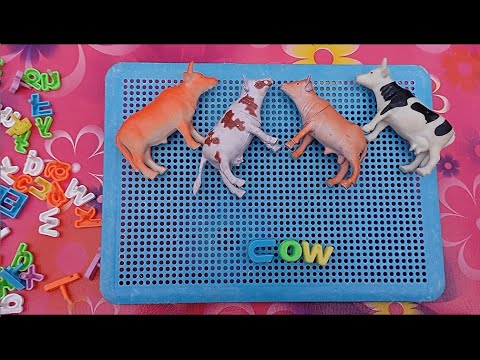 Learn Wild Animals Names & Sounds and spellings 13+ part 18