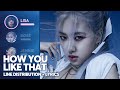 BLACKPINK How You Like That Line Distribution Lyrics Color Coded Updated