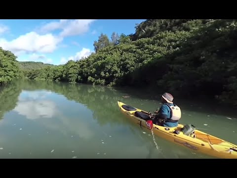 【360°動画】沖縄県東村 慶佐次川マングローブカヌー体験ツアー