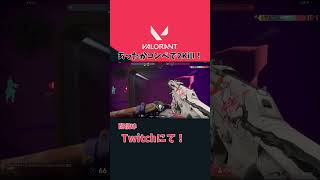 【VALORANT】光のヴァロはやっぱり楽しい… #shrots