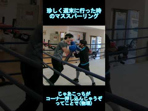 サイドステップ多用で躱しつつ外を取る動き練習してた頃 #ボクシング #boxing #マススパーリング #格闘技 #ウィービング #ガード #ボディブロー
