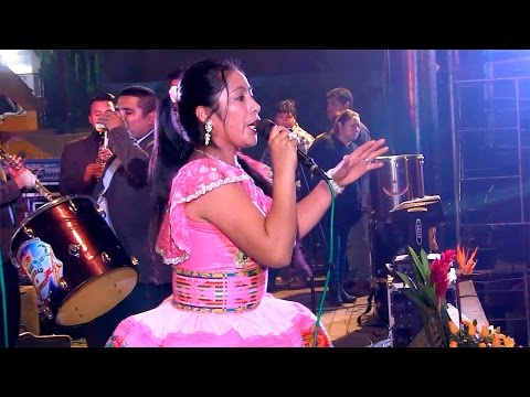 Mix Santiagos HAYDEE PIZARRO 2017 en vivo Orquesta Real Sociedad de America