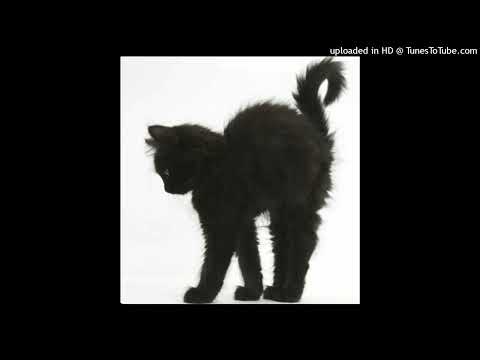 DJ TSXNNAMI - FUNKCORE [150 BPM]