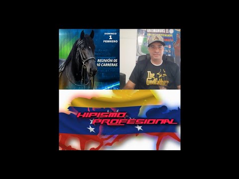PROFESSIONAL EQUESTRIANISM SUNDAY 01/02/2026