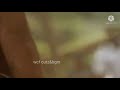 THE TIGER MOVIE Kaliya Visha Dhara Song SONG Suresh Gopi Saikumar Anand Edited Version