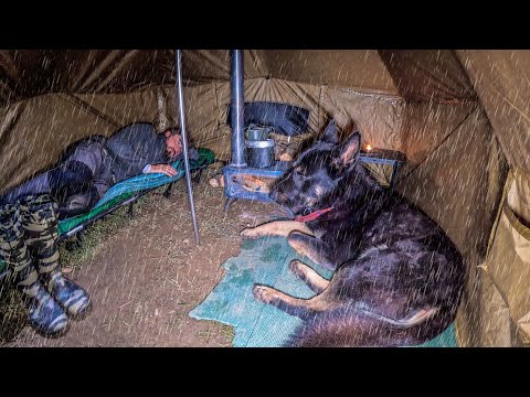Heavy Rain Camping in the Forest With Only a Tent and a Dog!