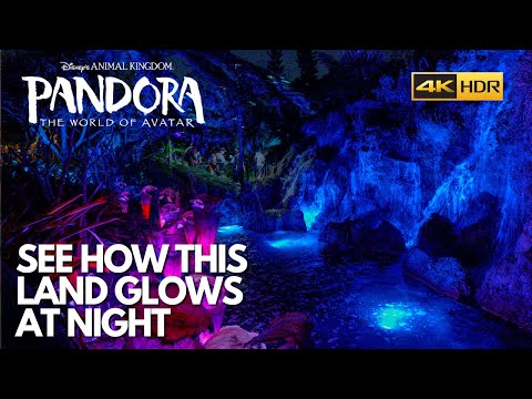 Disneys Animal Kingdom Pandora at Night walking Tour in 4K HDR