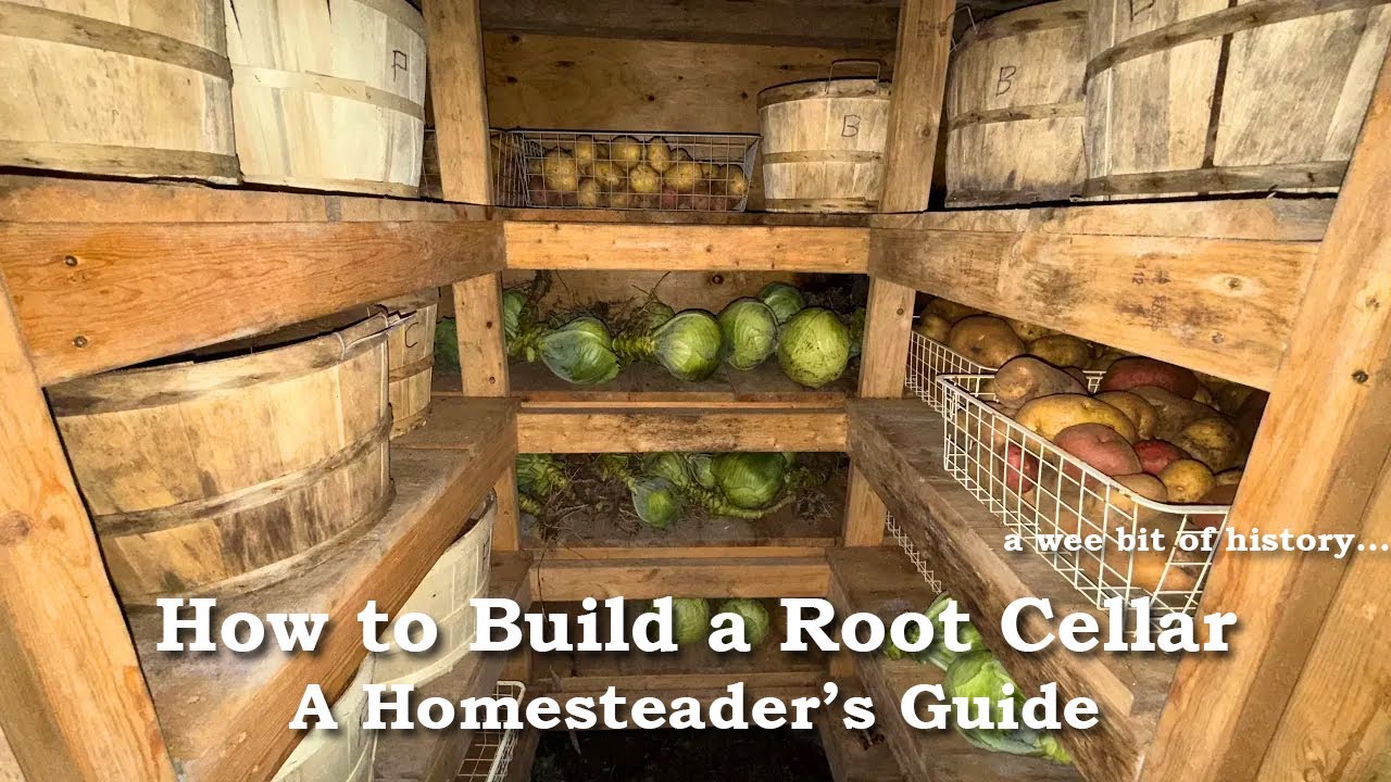 Tips on Building a Root Cellar to Store Food All Winter – A Homesteader's Guide