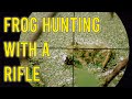 This Is Cheating Frog Hunting With A 22