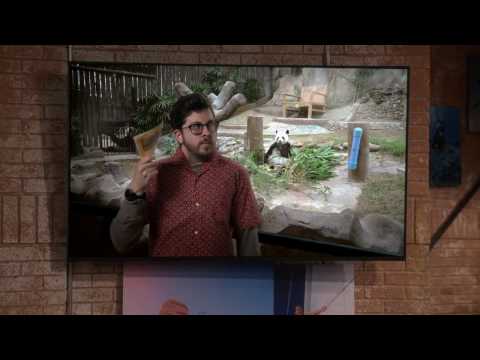 The Great Indoors 1x07 Jack & Brooke (1/4) [@emma]