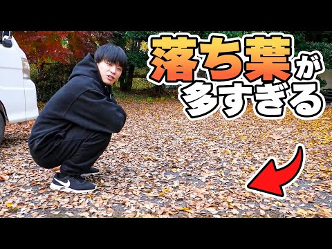 自宅の落ち葉が尋常じゃない件【掃地獄】