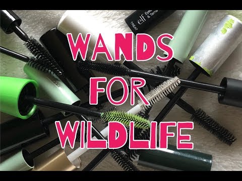 download lagu mp3 mp4 Donate Mascara Wands, download lagu Donate Mascara Wands gratis, unduh video klip Donate Mascara Wands