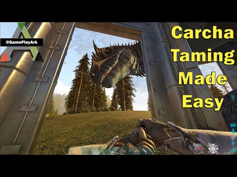 How to tame a Carcharodontosaurus in Ark survival Evolved ( Easiest Way )