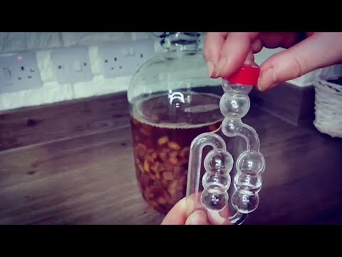 Robimy wino. Jak zrobić wino od A do Z. Krok po kroku. Wino śliwkowe 🍷