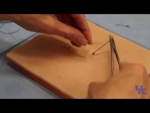 Horizontal and Vertical Mattress Sutures