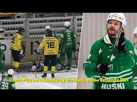 David Pizzoni«Hammarby IF»skada mot «Vetlanda BK»