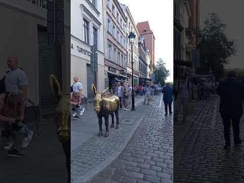 #donkey #statue #viral #shorts #shortvideo #viralvideo #viralshorts #travel