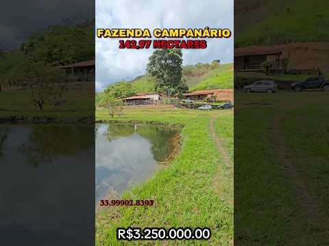🌿✨️ FAZENDA COM PREÇO DE OPORTUNIDADE 142,9751HA REGIÃO CAMPANÁRIO-MG ✨️🌿