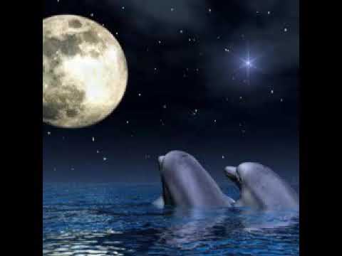 Nada nos detendrá ahora (latina)