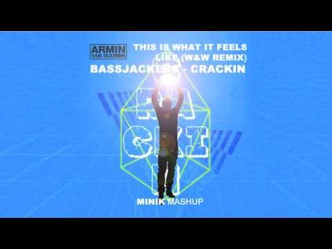 Armin van Buuren vs. Bassjackers - This Is What It Feels Like Crackin (Minik Mashup)