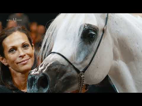 AL WAJBA STUD - 2022 Paris World Arabian Horse Championship