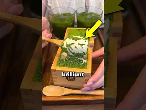 Things in Japan that are totally Brilliant! 🧠🇯🇵