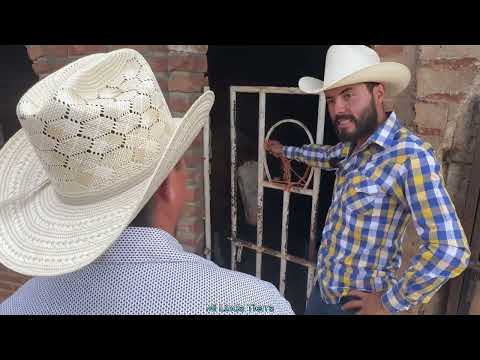 WE ARE DEDICATED TO GIVING THE HORSES CHARRO REINS AND CALA REINS IN SIENEGITAS ZAC