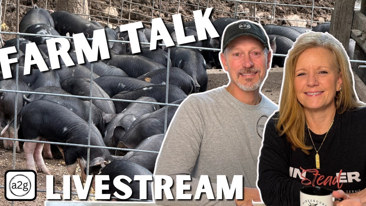 Piglets on the Move! Farrowing, Training & Growing Out in the Woods