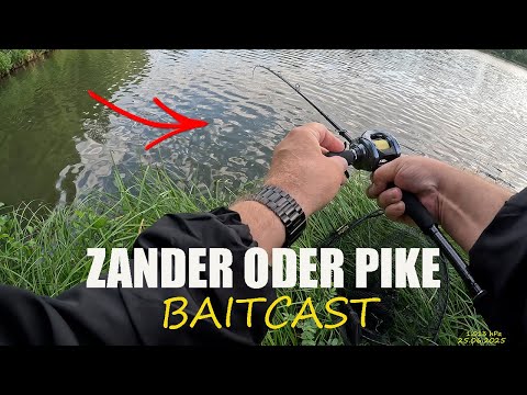 Wir angeln heute mit Baitcast - Angeln auf Zander, Hecht und Barsch ....