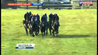 Ballydoyle gallops (part one)