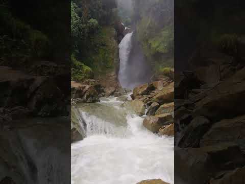 cordoba, Quindío #cascadas #colombia #viajes #shortvideo #shorts