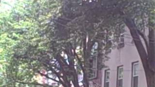 Camera Obscura - My Maudlin Career On The Road