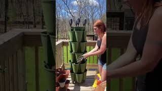 Planting a Greenstalk 🌱🥗🧅
